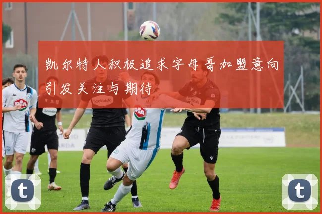凯尔特人积极追求字母哥加盟意向引发关注与期待